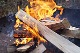 Linkziel: Link zum Beitrag mit dem Thema Offener Forsthaussonntag mit Brennholzversteigerung & Knut; Bildinhalt: Brennholz in einer Feuerschale