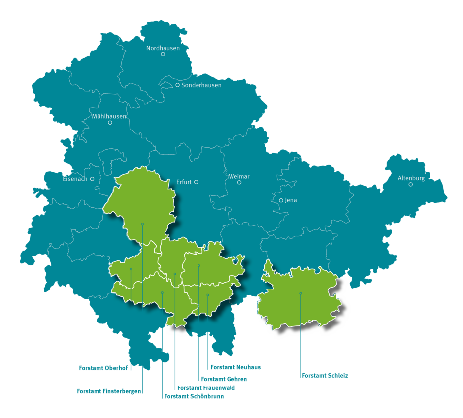 Schemenhafte Karte von Thüringen, die die verschiedenen Einsatzorte für Forstschutzkoordinator:innen zeigt.