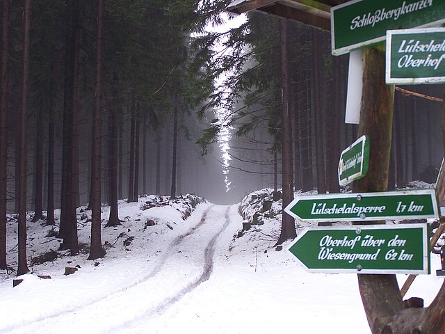 Ein verschneiter Weg in einem Nadelwald. Im Vordergrund ein Wanderwegweiser mit vielen Schildern.