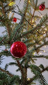 Linkziel: Link zum Beitrag mit dem Thema Tipps rund um den Weihnachtsbaum; Bildinhalt: 