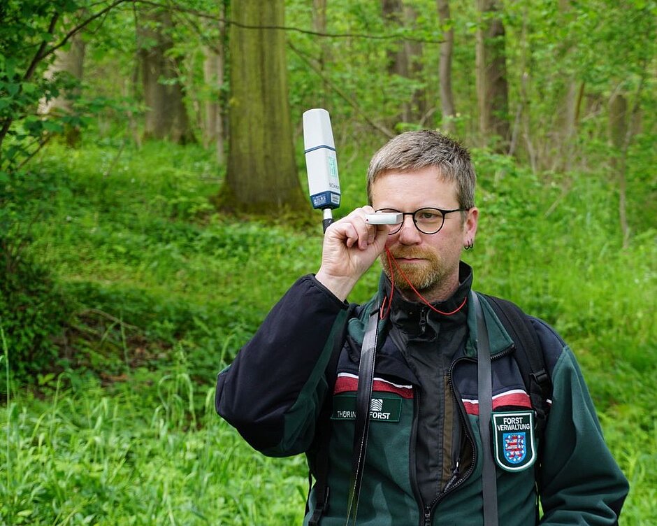 Der Inventurleiter vermisst mit einem Gerät, was er an sein Auge einen Baum.