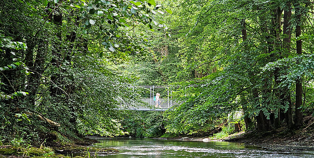 Zwei Touristen laufen über eine moderne Hängebrücke über einem Fluss in üppiger sommerlicher Waldnatur
