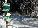 Linkziel: Link zum Beitrag mit dem Thema Wer in den Wald geht, betritt Eigentum; Bildinhalt: Winter im Wald: ein Waldweg mit einem Wegweiserschild, alls ist verschneit.