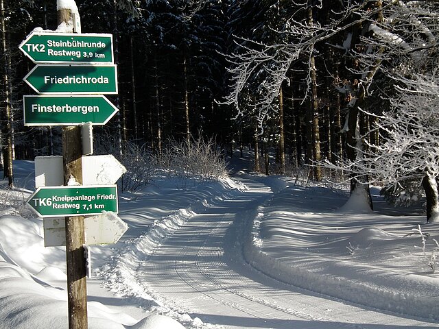 Winter im Wald: ein Waldweg mit einem Wegweiserschild, alls ist verschneit.