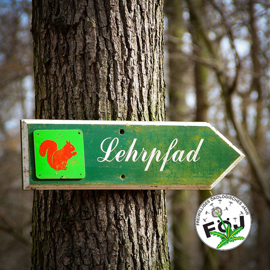Schildan einem Baum mit der Aufschrift "Lehrpfad" - es soll die Erfahrungen, die man im freiwilligen ökologischen Jahr sammelt