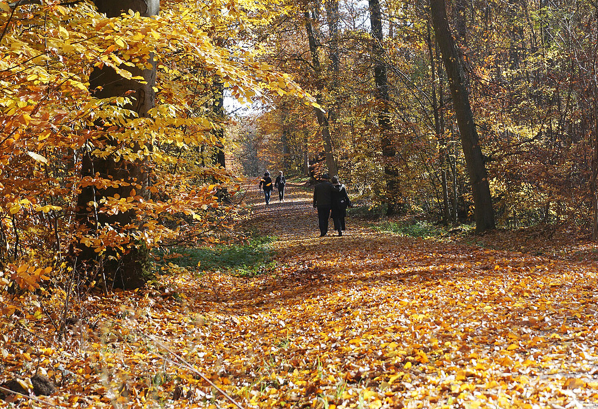 indian summer tour peelbergen