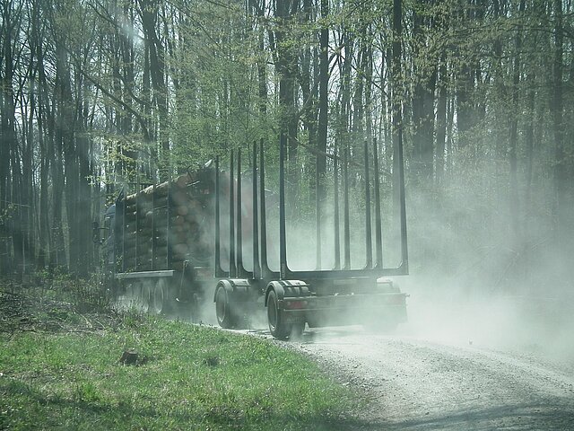 Ein LKW zum Holztransport