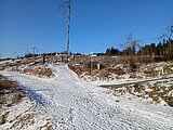 Linkziel: Link zum Beitrag mit dem Thema Waldfreunde in Steinach; Bildinhalt: 