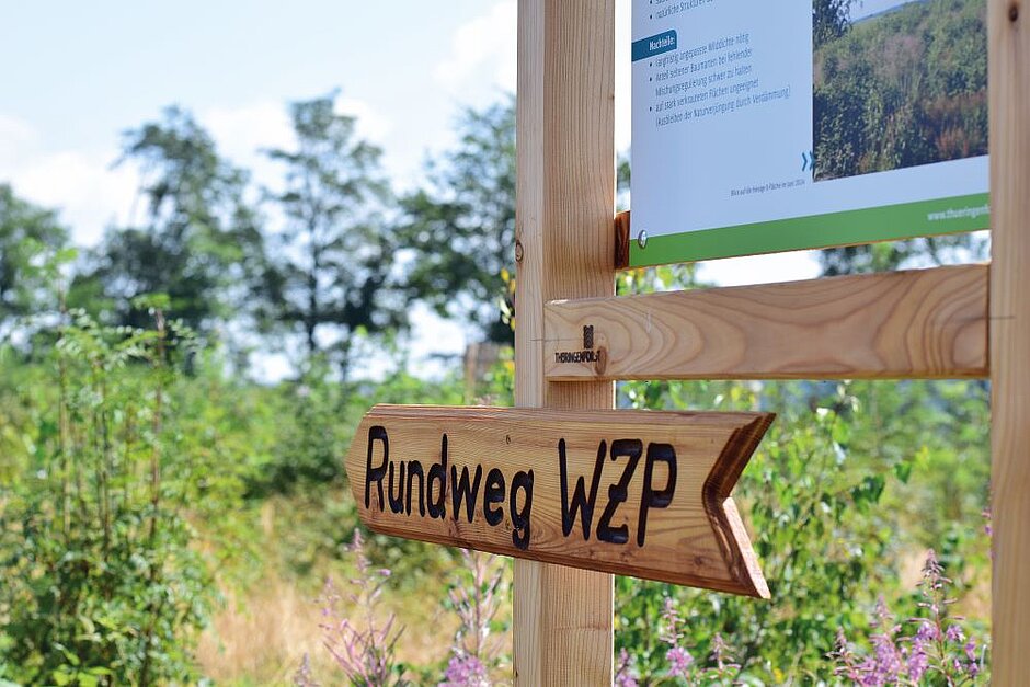 Start des Waldzukunftpfades markiert durch einen Holzpfeil mit Aufschrift. 