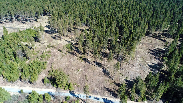 Luftaufnahme eines Waldstücks, mit teilweise stehendem Buambestand und teilweise beräumter Schadfläche.